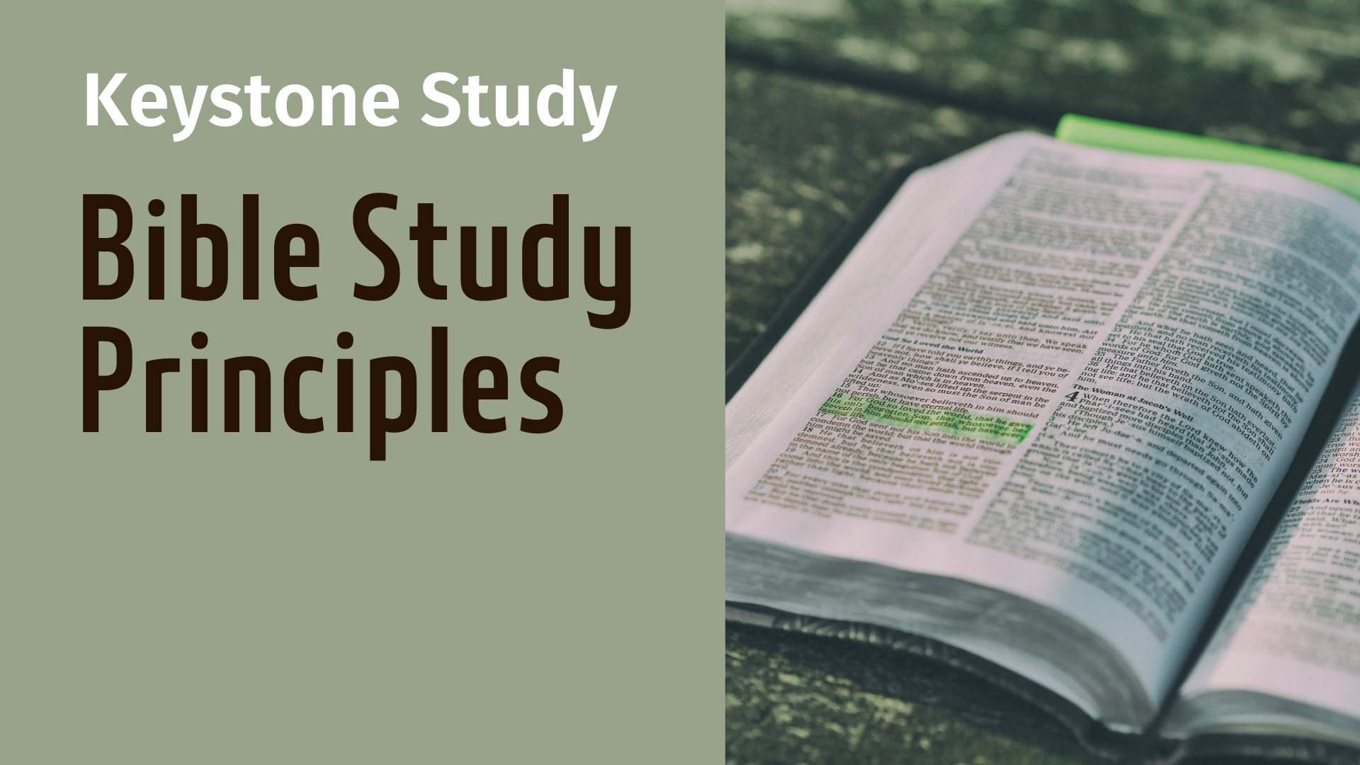 OD Bible Study Principles web